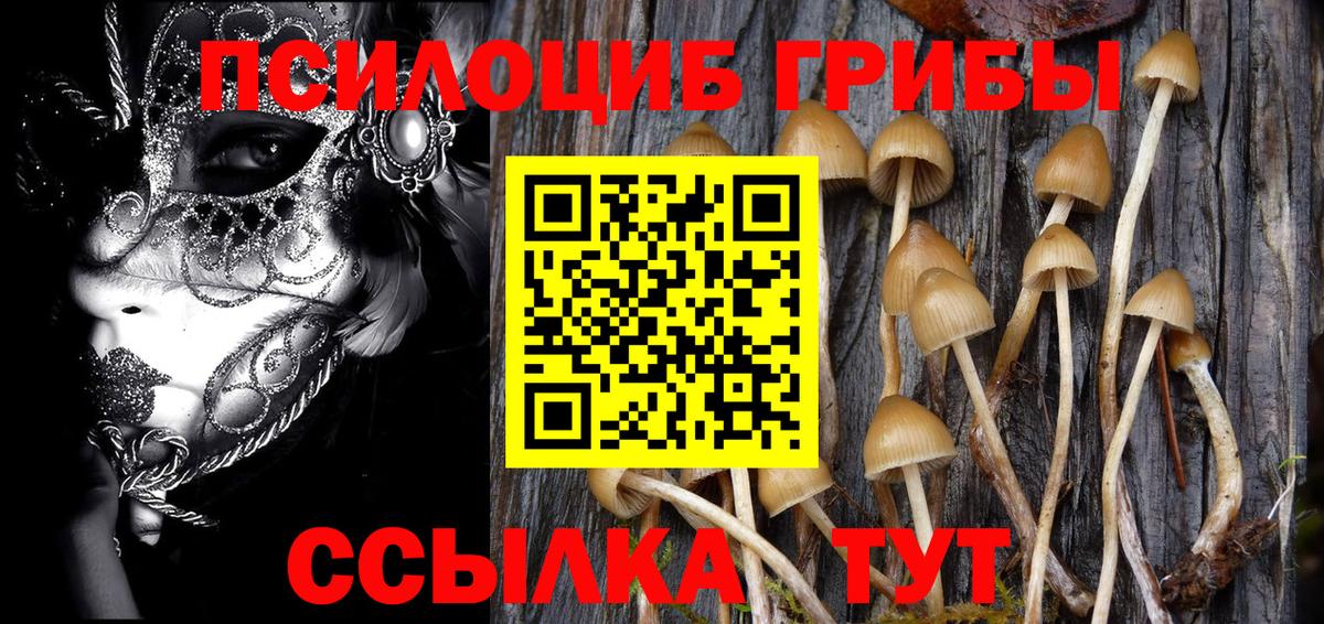 Галлюциногенные грибы Cubensis Моздок