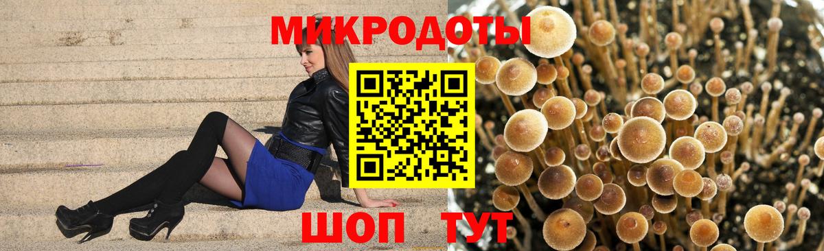 Галлюциногенные грибы ЛСД  Галлюциногенные грибы Magic Shrooms  Моздок  Вход с VPN 